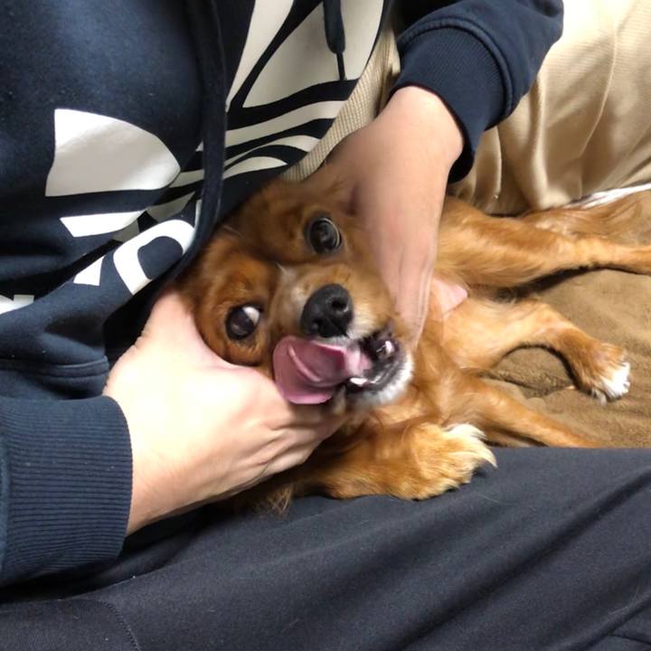 88580209 33ec 4f07 a6d3 7f476cbc11d3 1574979292771