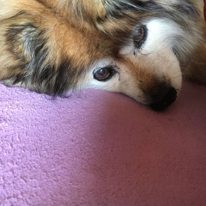 88581636 0e2f 4db4 9606 60af0b16a96d 1638282334220