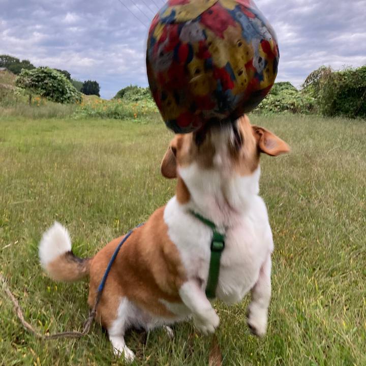 88581793 a1ad 4dd2 97f0 af461608cab6 1729648916380