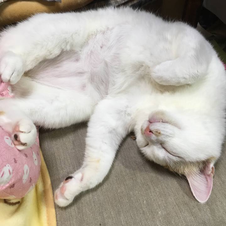 88581dd0 19fa 4c69 b9ce ba6fd161c1ae 1555254167667