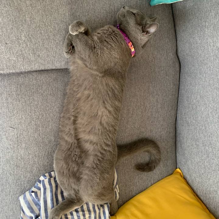 88582ee9 1196 4995 8966 aa416895eba3 1657083724653