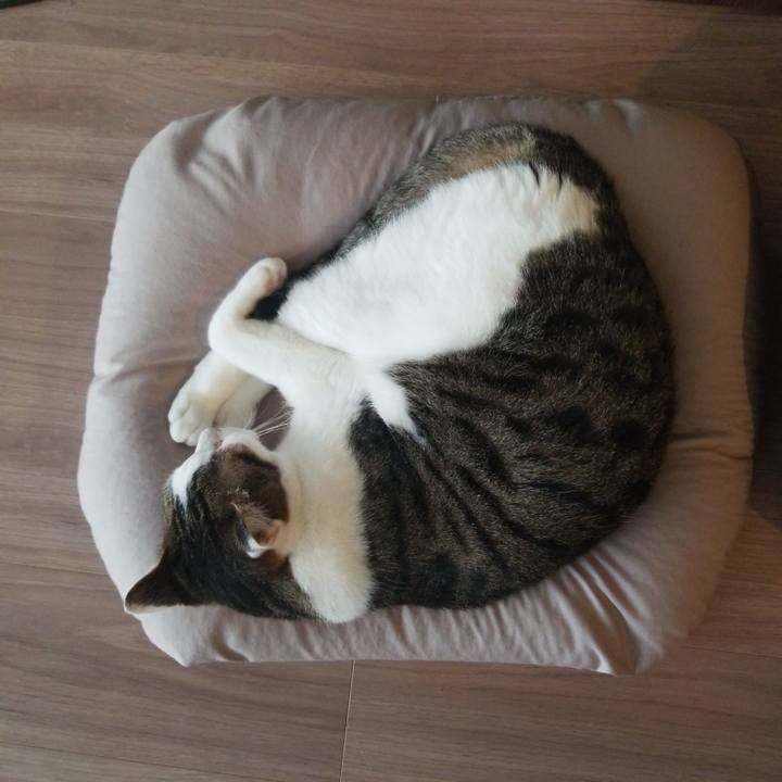 88584c32 4d2b 4142 8825 2674cb866c17 1592170776208