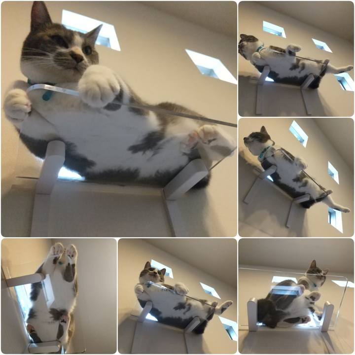 8858b664 6cc0 4746 a43c 0012b2e38883 1625309383981