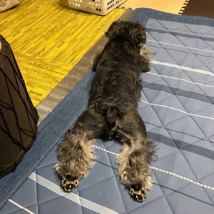 885906da e21a 4f0d 8dee de0854db037c 1664365959961