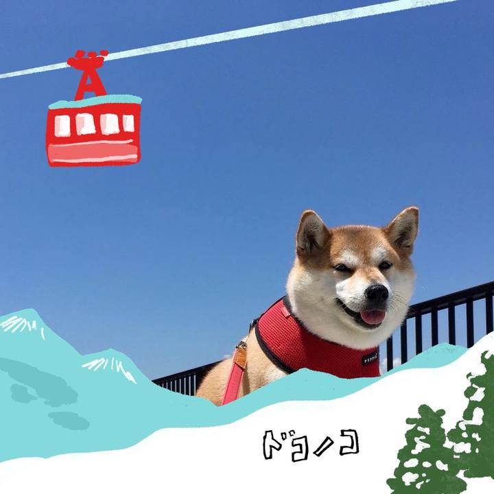 88591e79 f2fa 4ae4 8058 a66949862859 1706832791072