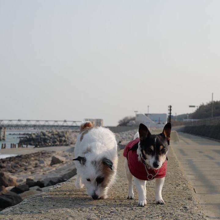 885938fd a685 456f b574 86eb626e7978 1551504301527