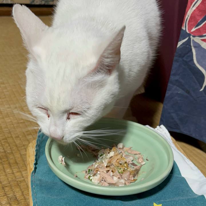 88593df5 2f38 44d5 b9ba 9041e5a95ded 1768823560118