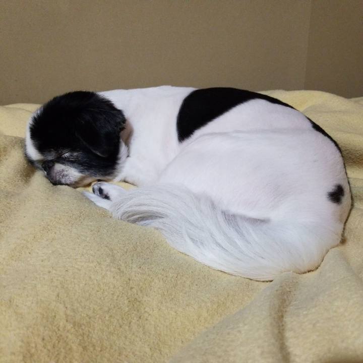 88597fc5 f126 4d40 99a1 63f216bf7e5c 1574858125350