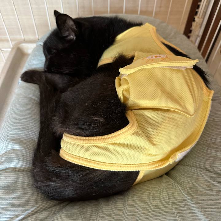 885988a4 3636 4881 a794 5b5c10806a3d 1717985082857