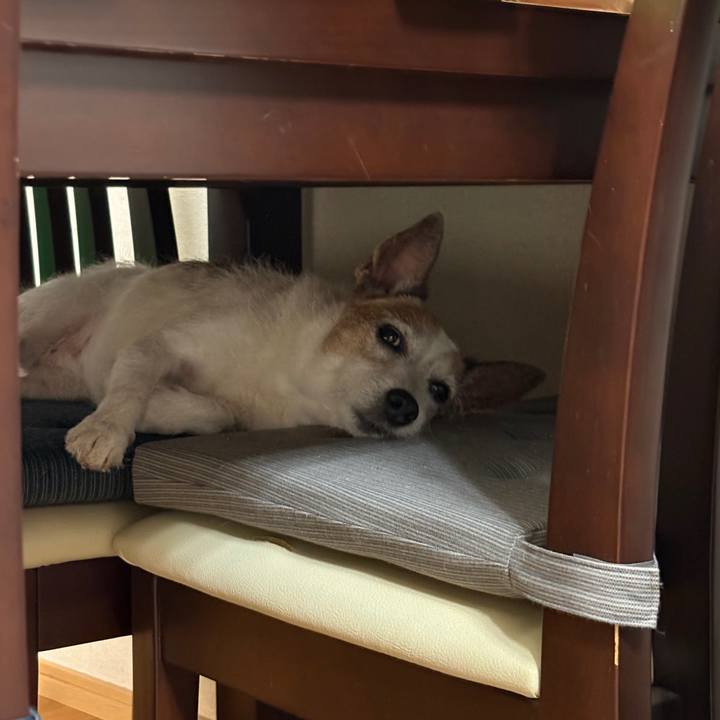 885a2092 6380 4906 9357 294e01a042a5 1753581053747