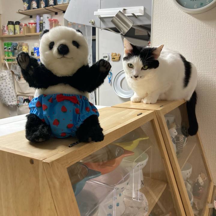 885a4a03 6633 4585 a77d 5a7b7699d26a 1762250138828