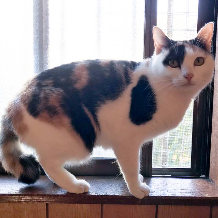 885a605a 2004 4fd0 a156 ddeb249c44de 1515023969586