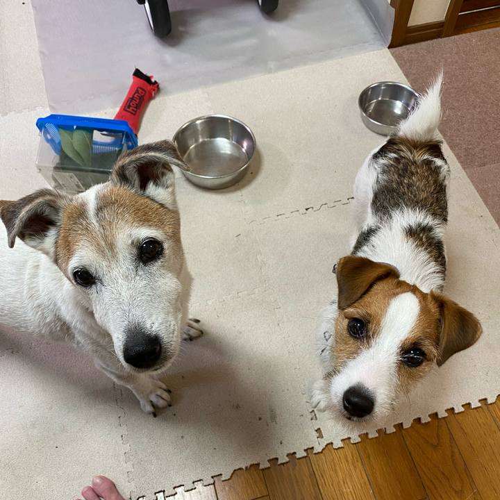 885a952c 9247 4857 85de a0bbb24fd45f 1627251524718