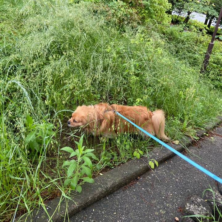 885a9895 f55e 4840 a6de 7d1e9510b442 1589070093922