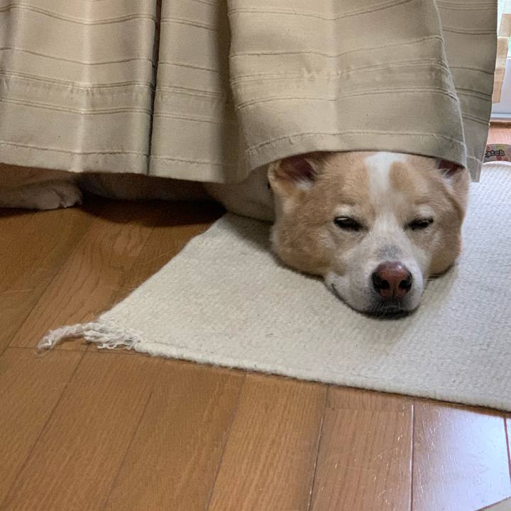 885a9dbc 48db 424e 8491 23bda3b56fe6 1603000940487