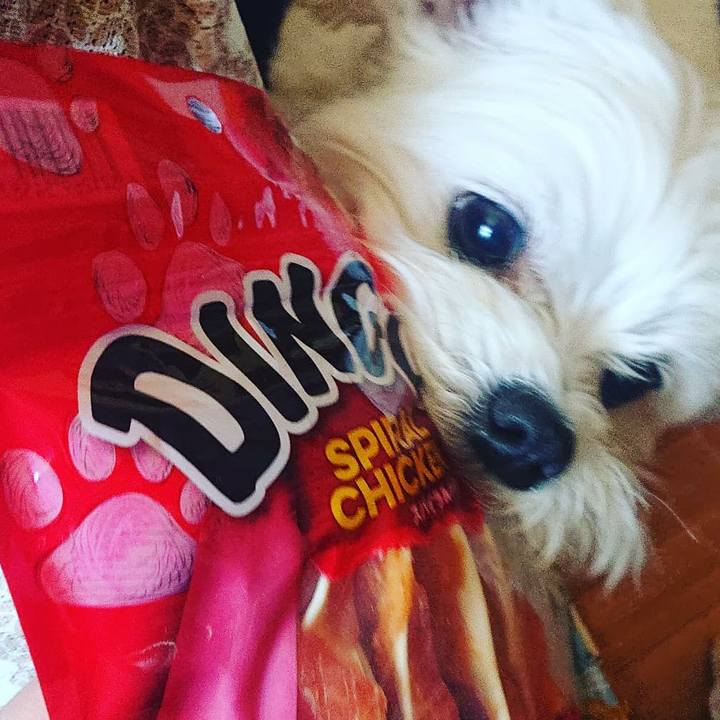 885ab0cc 2c0c 4382 84af 7cf7868ca911 1555411825475