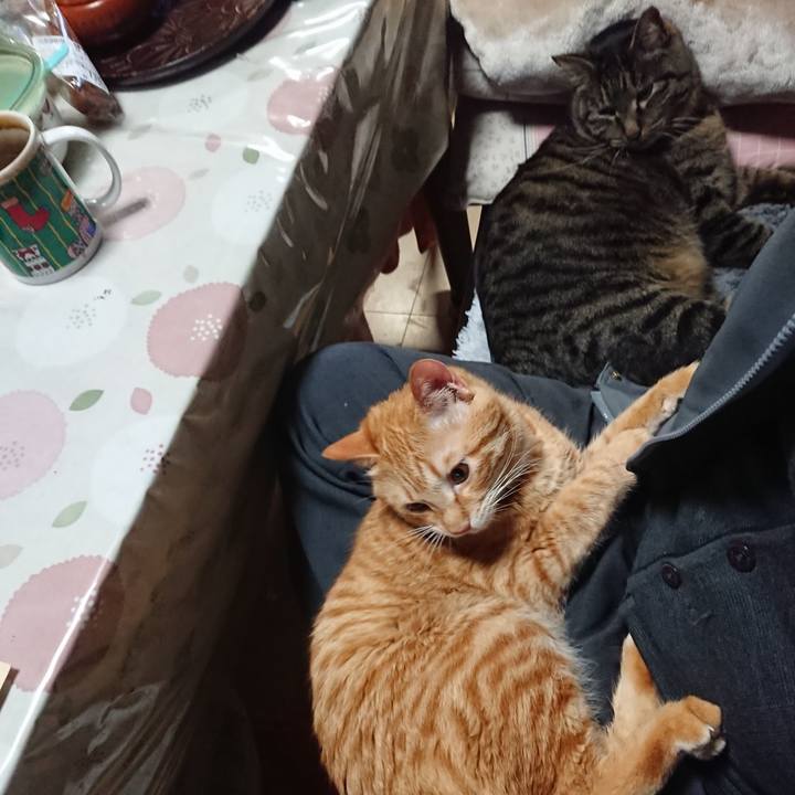 885ab82c 3302 4416 aa99 3148f682c9b5 1644020954724