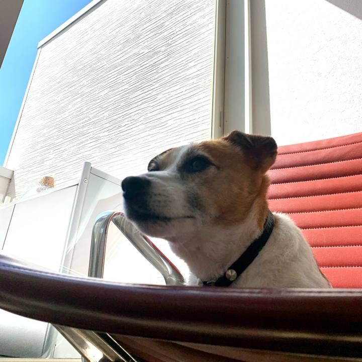 885abead 24f6 4008 a1c7 6f9432308c16 1695469462028