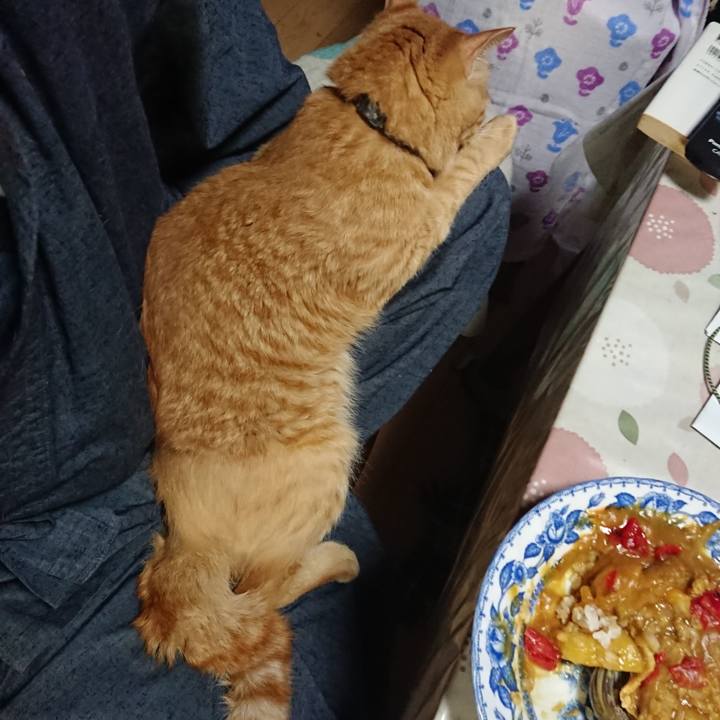 885adb61 0706 4524 aa49 ce3e8885c5cb 1659787137682