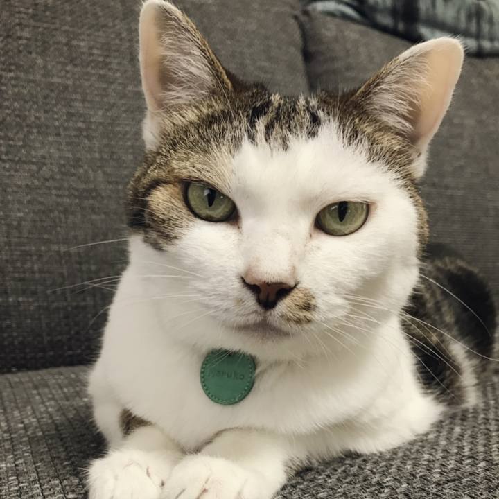 885ae534 4407 4880 a062 b64f7dcc244f 1564111564939