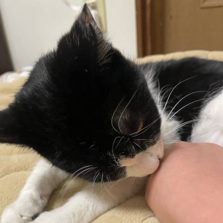 885b00e4 79fa 42bb be53 d9da77c856c7 1678998115087