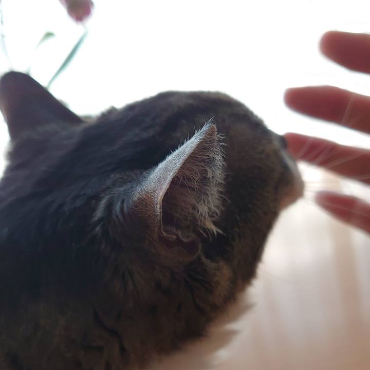 885b025d 0371 469b b668 8081973c2afa 1680997475001