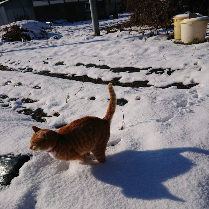 885b5965 4c35 4754 ad6a c69e2f26c314 1577581829767