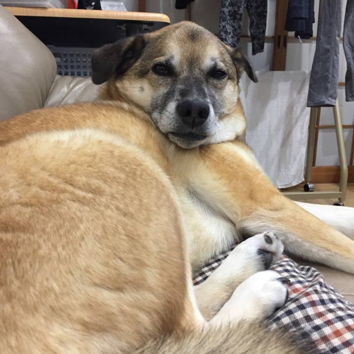 885b5dba edc0 44f6 bd6d 911ce933bea3 1519218749067