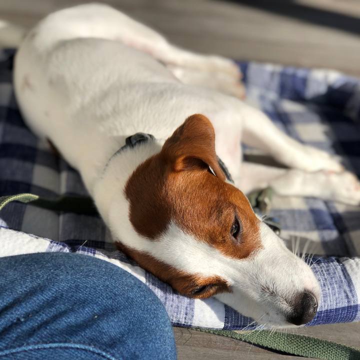 885b5dbb 5bbc 4532 b30d 337a953c4c4c 1541320416732