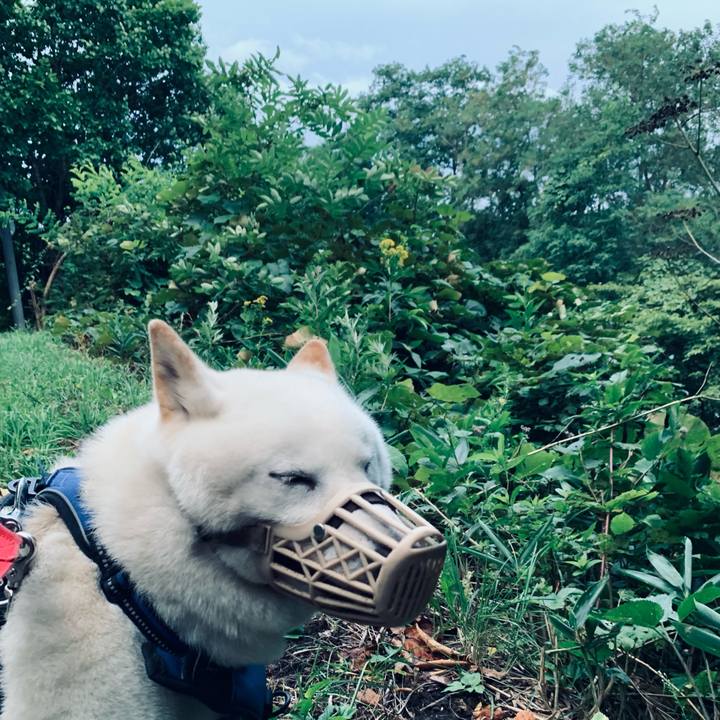 885b6255 cd15 4c31 b55b 0517bc9d5db6 1629838271147