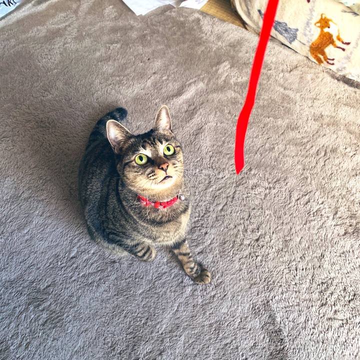 885b680e 1fb3 47ec 9d73 153536e7831b 1574234427551