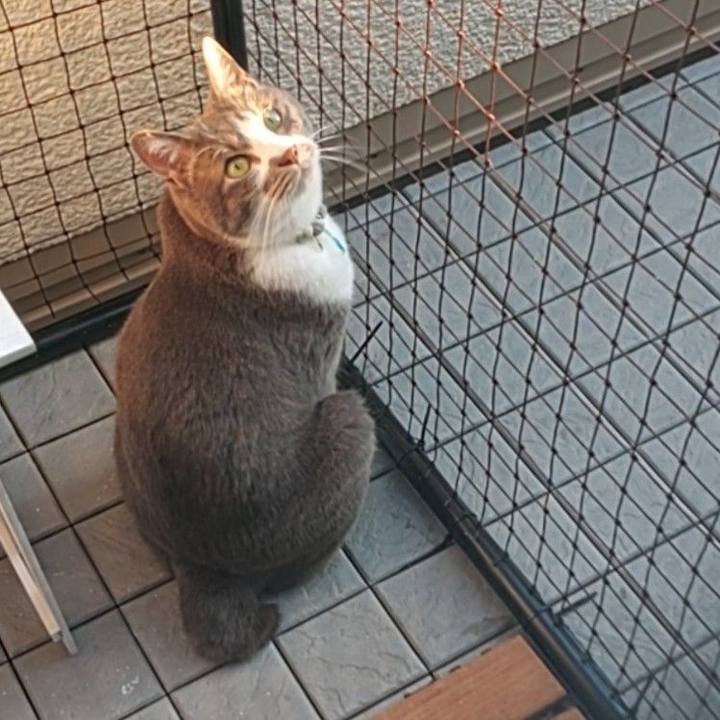 885b7bce 09e2 46b9 b3f4 ac0a30016230 1716628476862