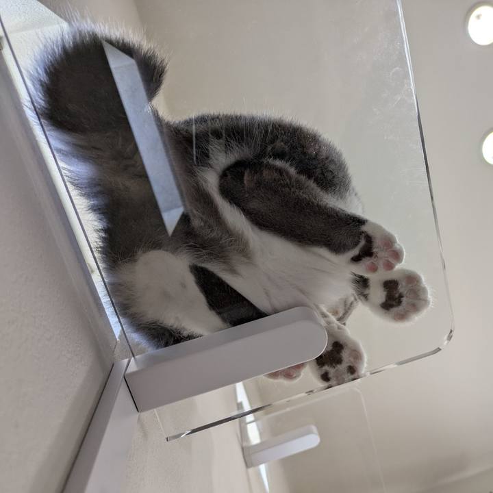 885b8ac8 ddf7 4a41 8ff5 90ccc38b3888 1759888926191