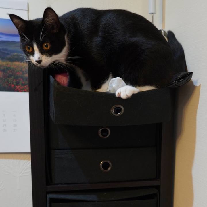 885b8dc6 32fc 41e6 8154 2818ee47fa50 1594218204079