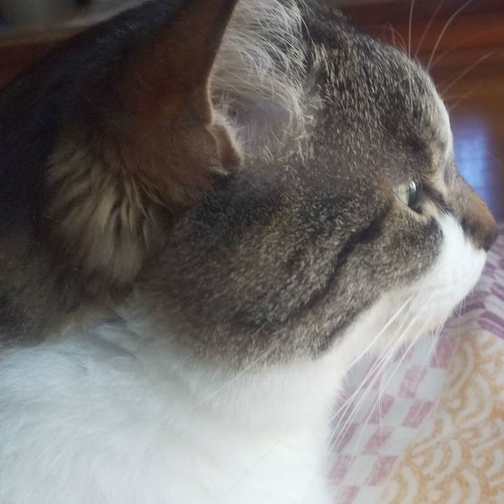 885baa23 4ac4 41fa b242 366fc67b89c4 1707323735773