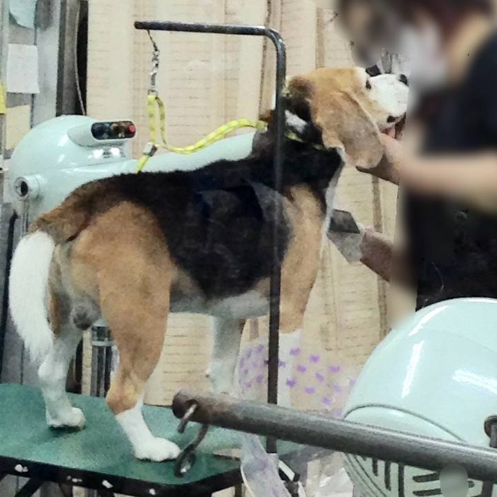 885bbaa5 75d0 4cf1 8e93 63b1790091b2 1728262879987