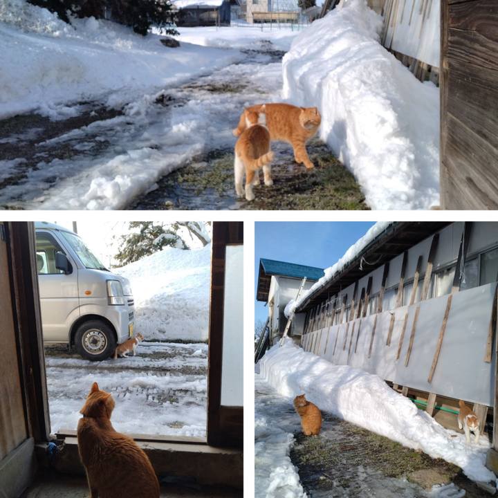 885bdde6 e5c2 4355 8277 513ab07e2900 1738455422621