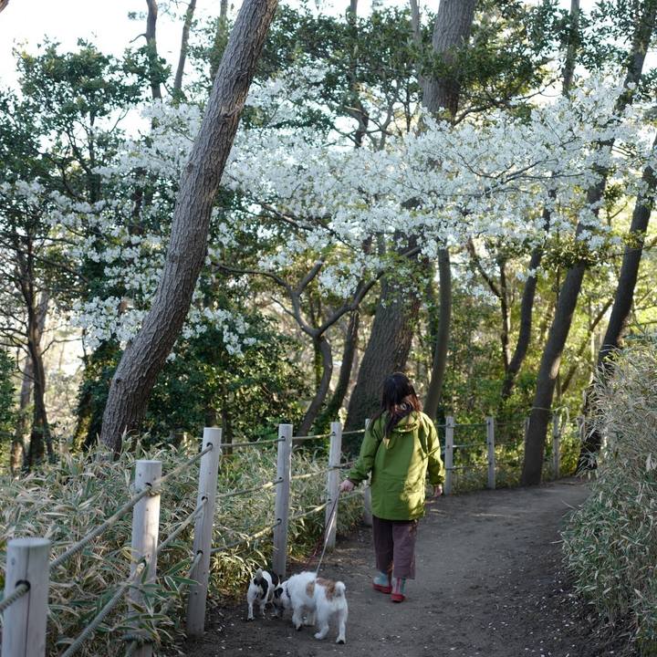 885bec18 94b2 4836 98a4 5c5aa985a33d 1555733004709