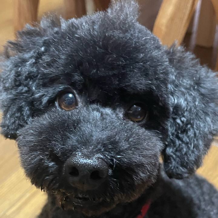 885bec43 c62b 43c8 8f08 3a1f1d7ec626 1687062893805