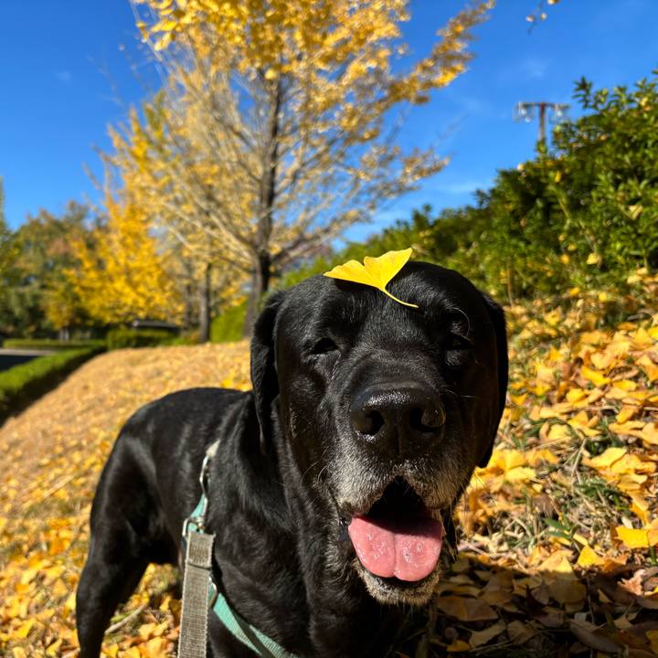 885bf0b1 6911 490f b859 fb386d712091 1763291530705