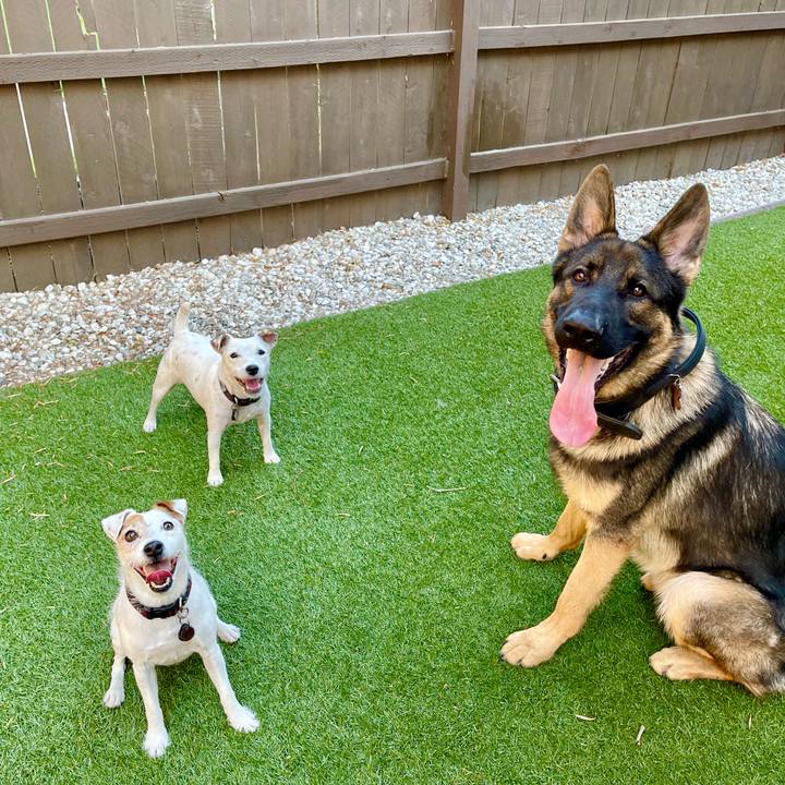 885c02ec 2fa2 4506 be3c c027e4042a1d 1664332217257