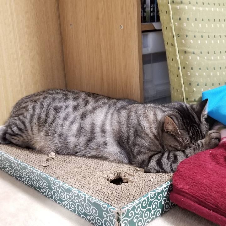 885c0475 c2ea 45de abe8 a9f46d4818b8 1689763047662