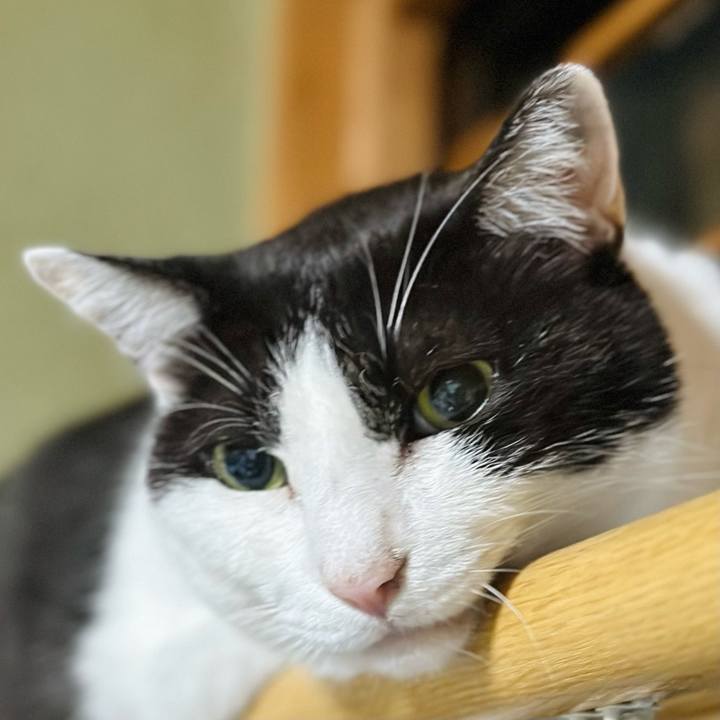 885c11ae ebe7 40ac 9b9f 1bf1991ab571 1719287597342