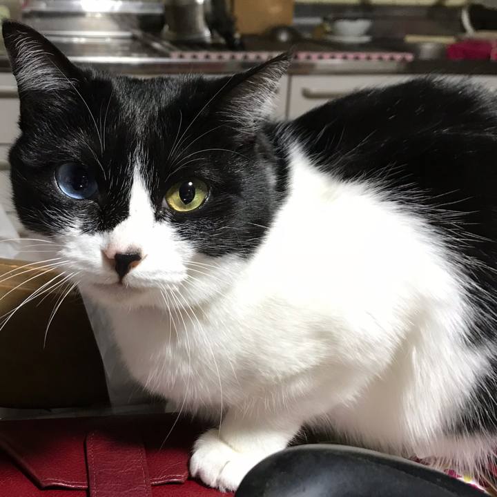 885c25dd f7eb 4803 b283 f6f2b352586a 1553681009963