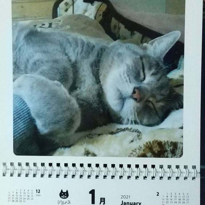 885c57aa 80a2 4ed1 a3f0 83d7e0c89463 1609456264278