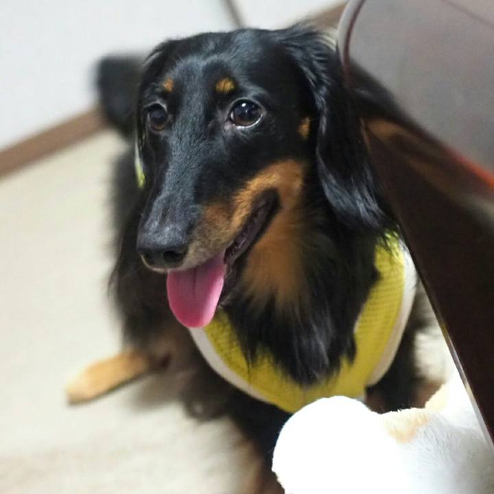 885c792f 1f12 4250 b892 726b3018dea0 1535502829817