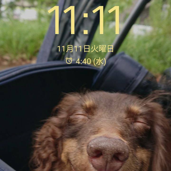 885c99c8 ac1f 4d7d b4f4 811425b932cb 1762897144949