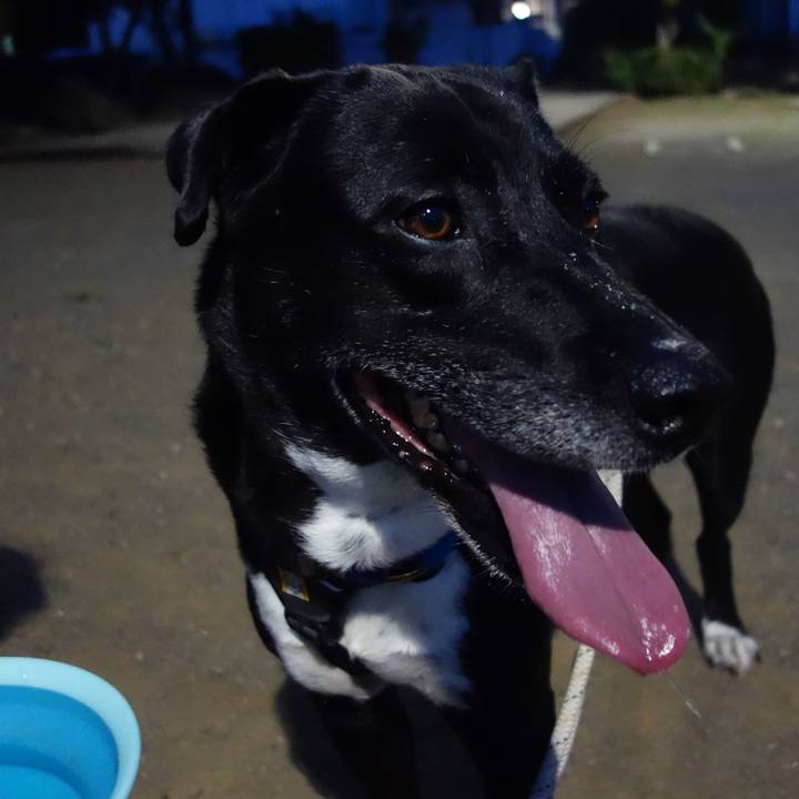 885cace3 8a1b 4eb6 8893 c4121cf78ec4 1656242888937