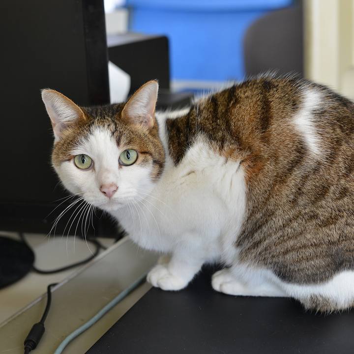 885cc3b0 c3df 497a 8602 ecfa108ad32d 1541605371702