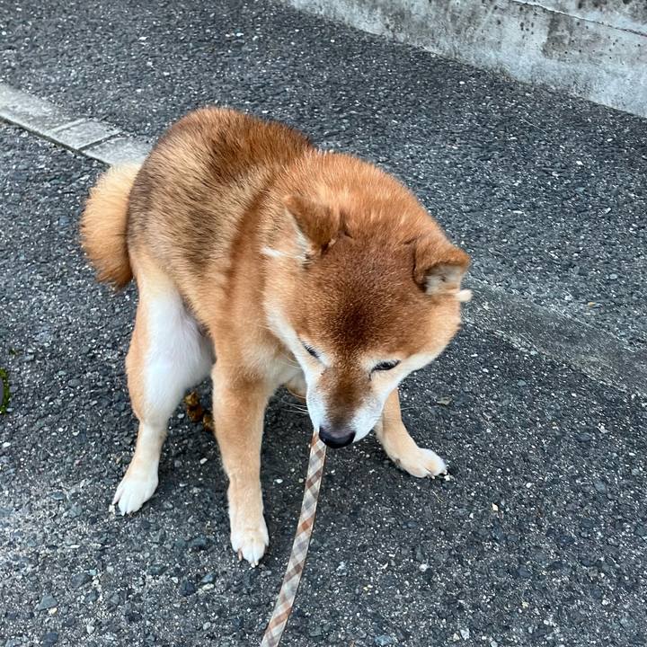 885d49a6 3c28 4a95 b1b4 a08186ae6bd8 1767877666868